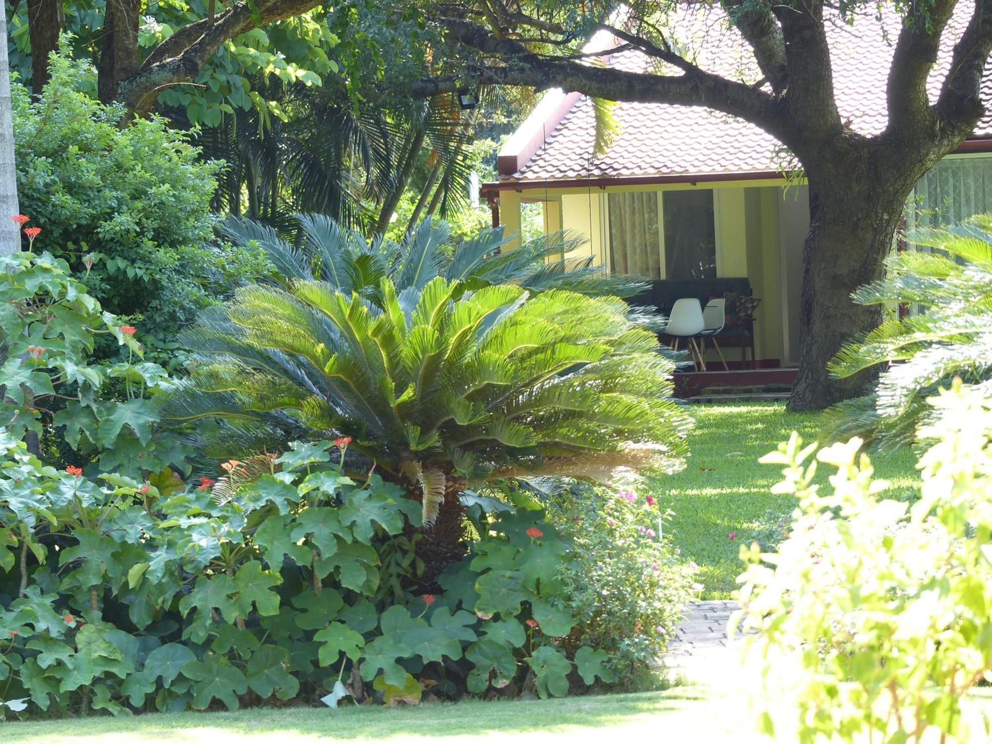 Hotel Ancha'S Oasis Maputo Zewnętrze zdjęcie